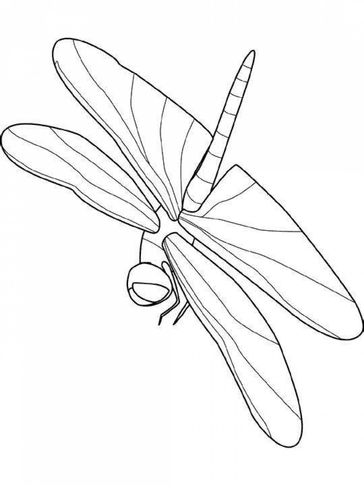 Outstanding dragonfly coloring page for kids