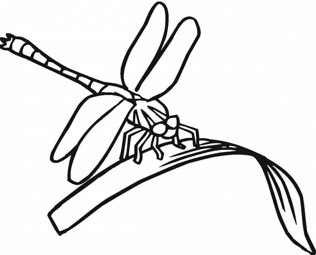 Fun coloring dragonfly for kids