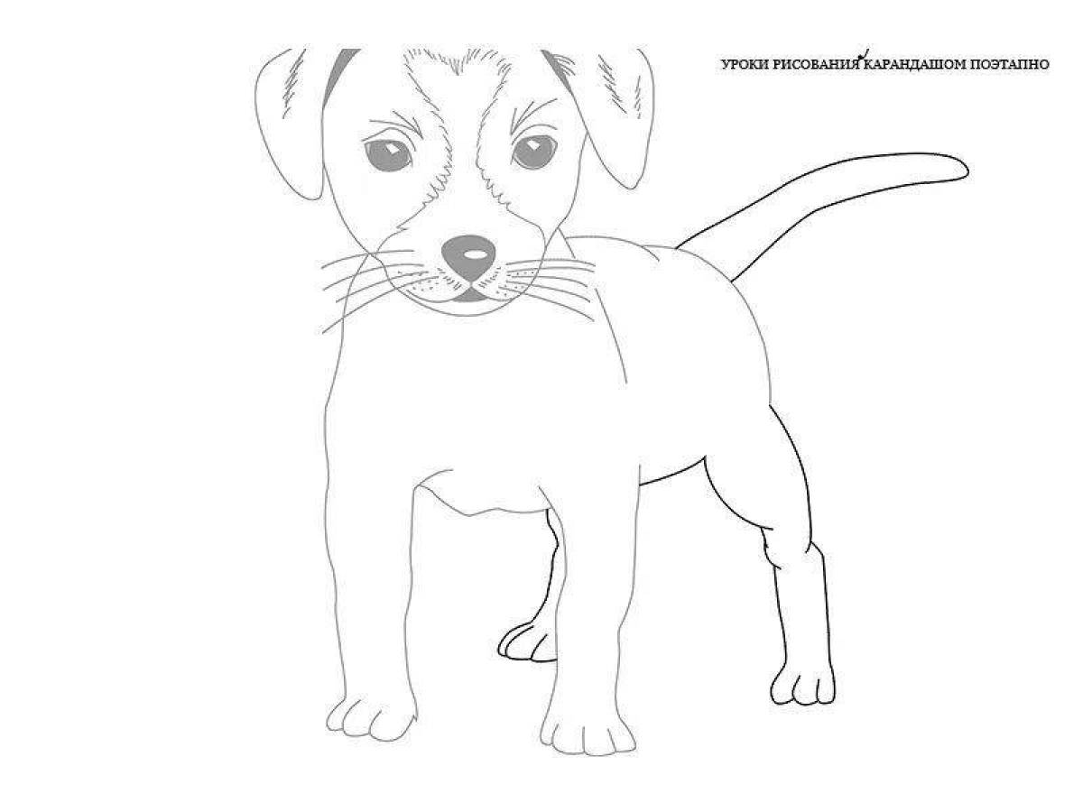 Jack Russell Terrier Coloring Page