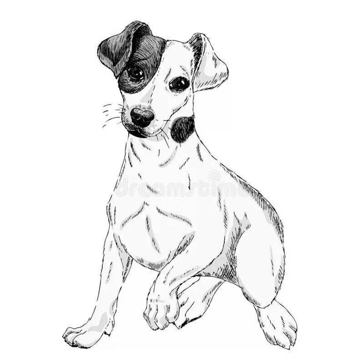 Cute jack russell terrier coloring book