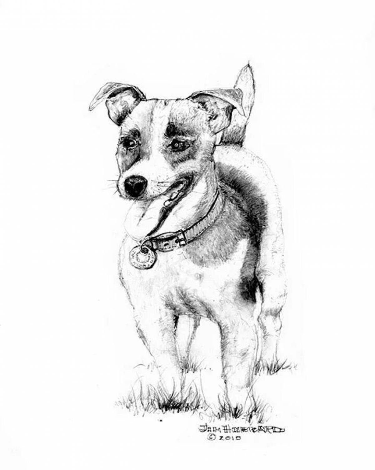 Joyful jack russell terrier coloring page