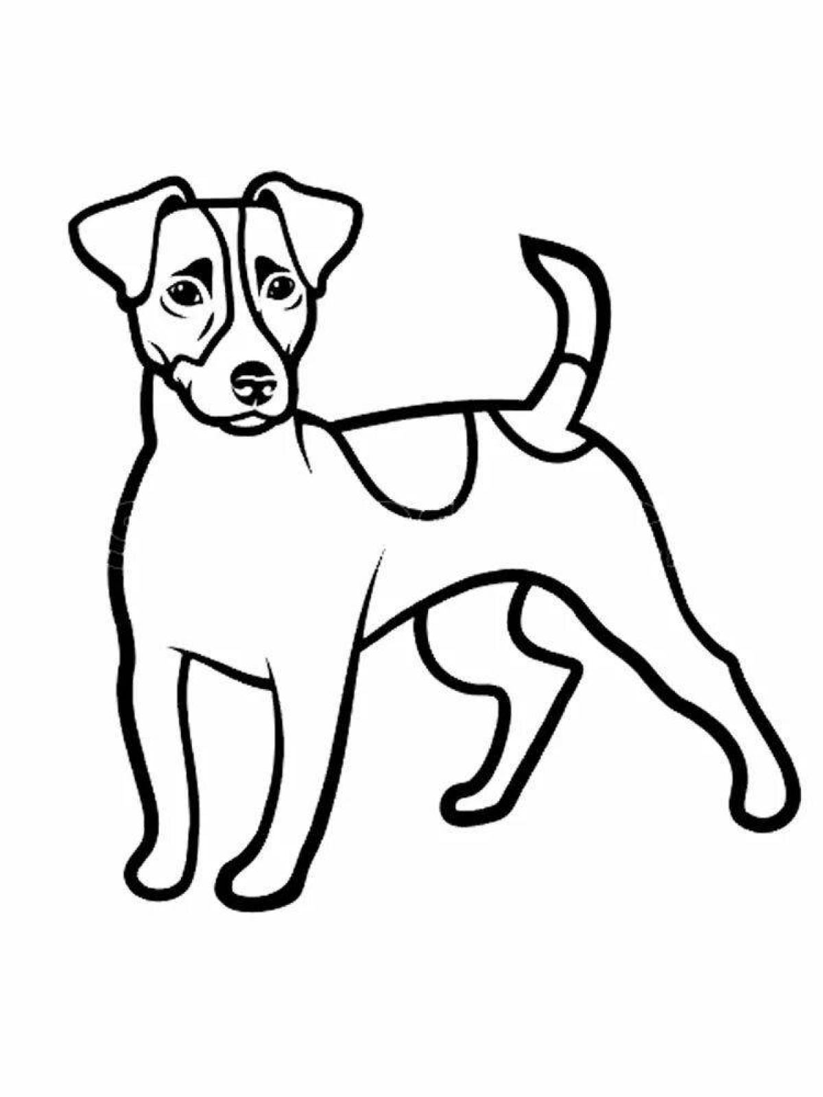 Coloring page bright jack russell terrier