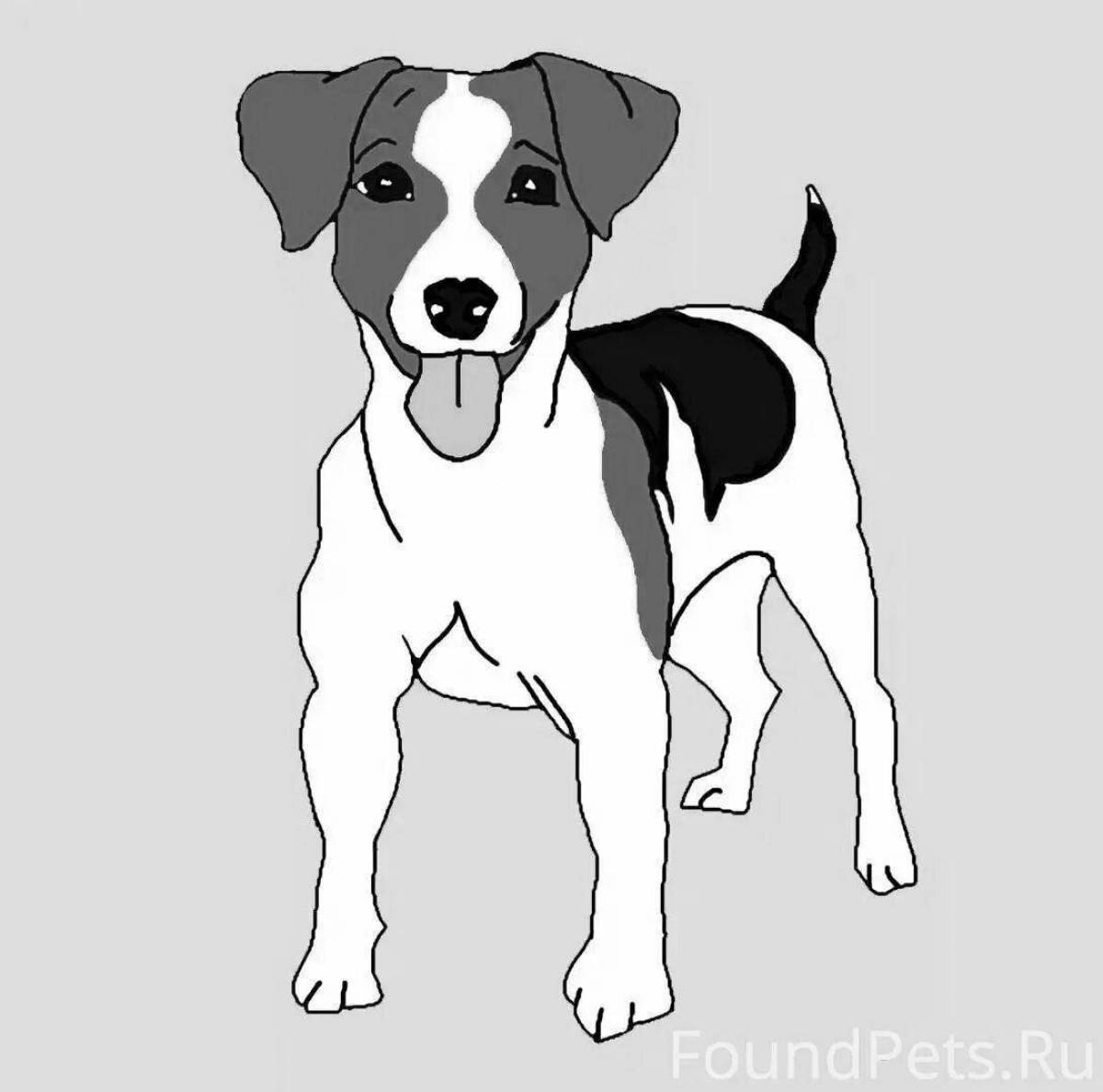 Adorable jack russell terrier coloring book