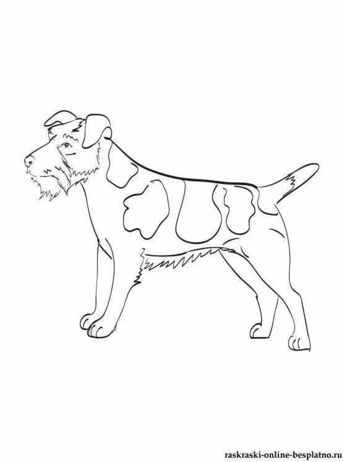 Cute jack russell terrier coloring page
