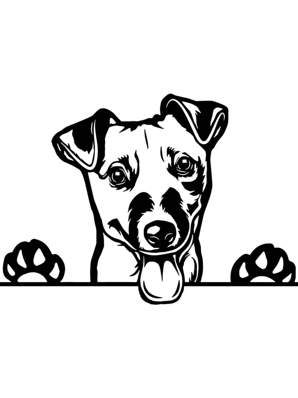 Impressive jack russell terrier coloring page