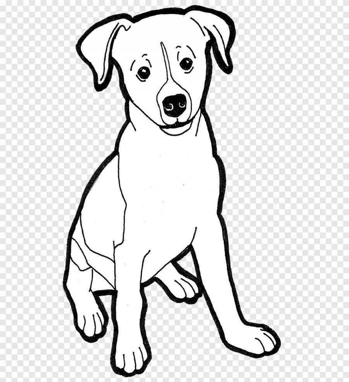 Coloring book regal jack russell terrier