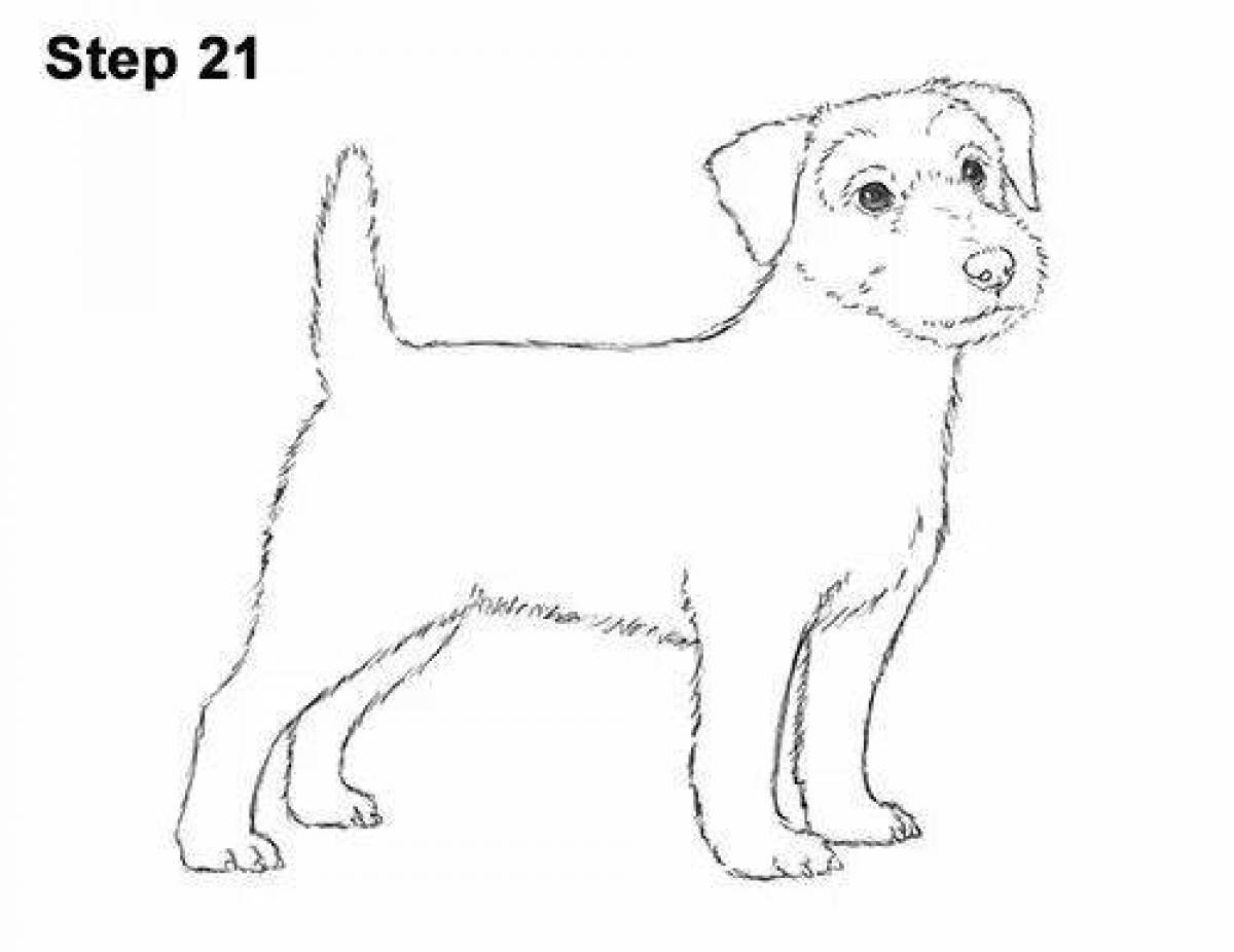 Coloring book noble jack russell terrier