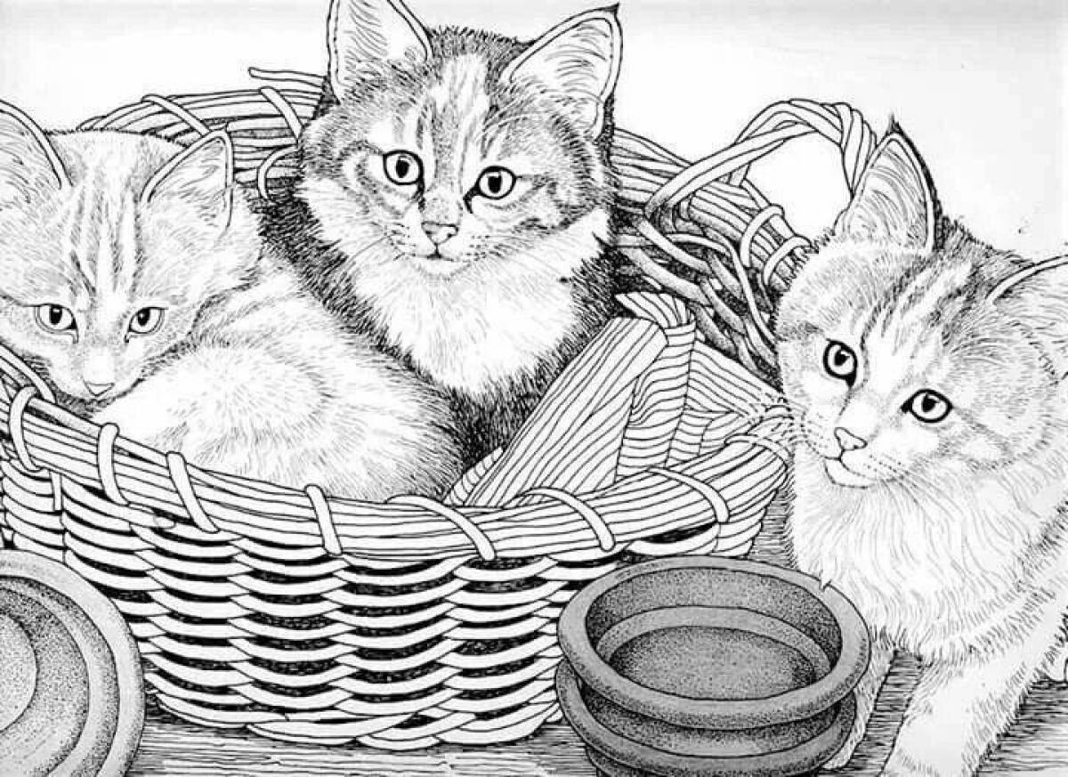 Live kittens in a basket