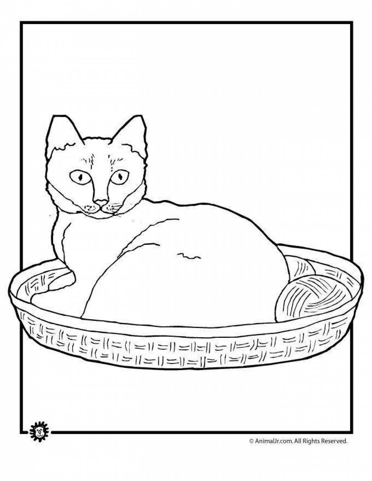 Kittens in a basket #4