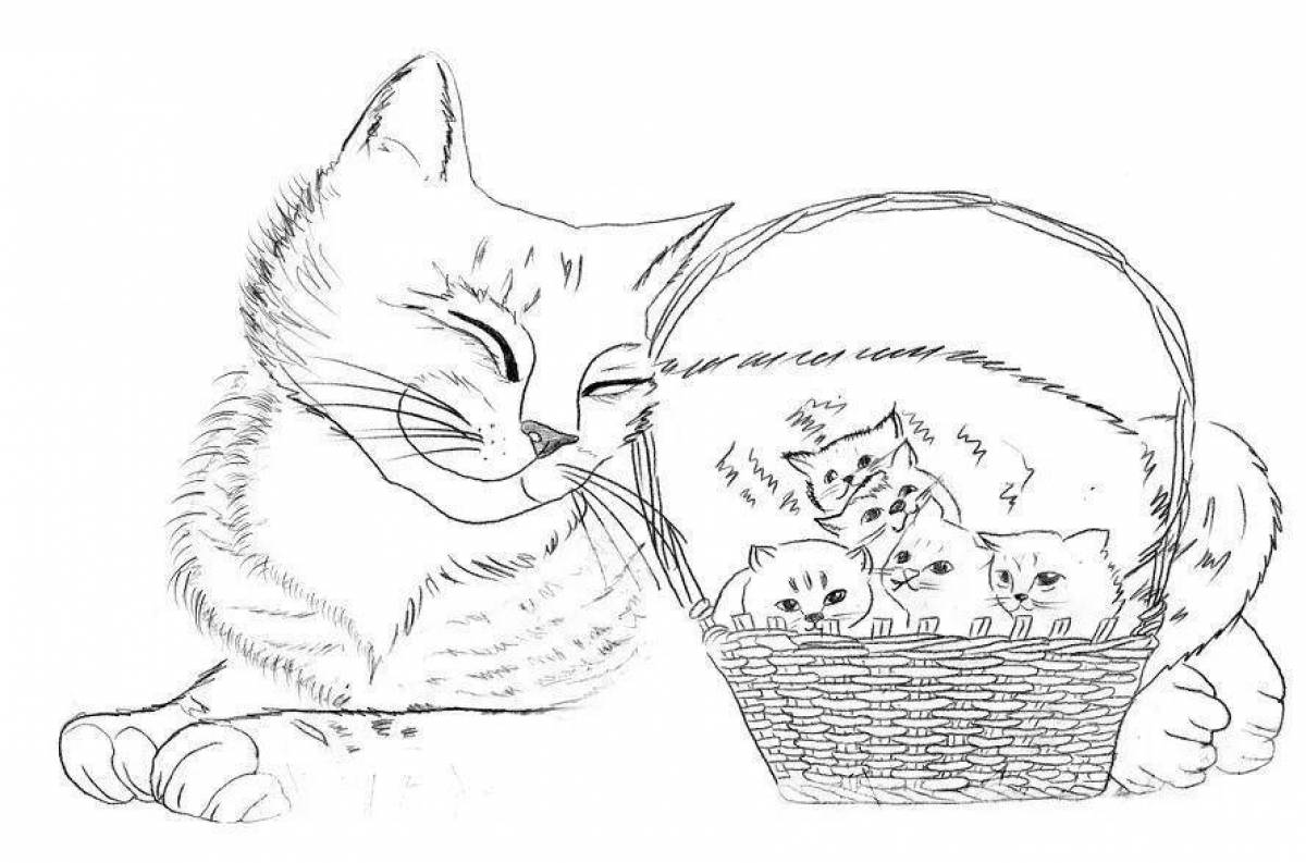 Kittens in a basket #7