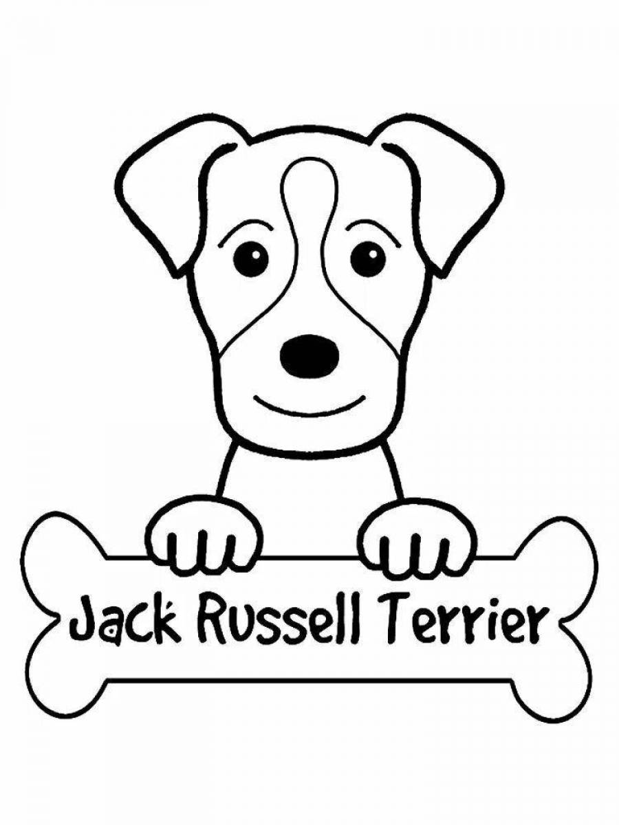Разукрашка про собак про Джек Рассел терьера