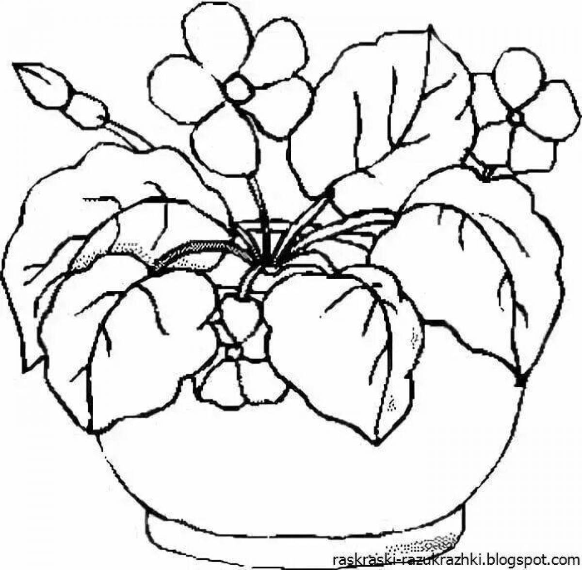 Фиалка комнатная рисунок для детей