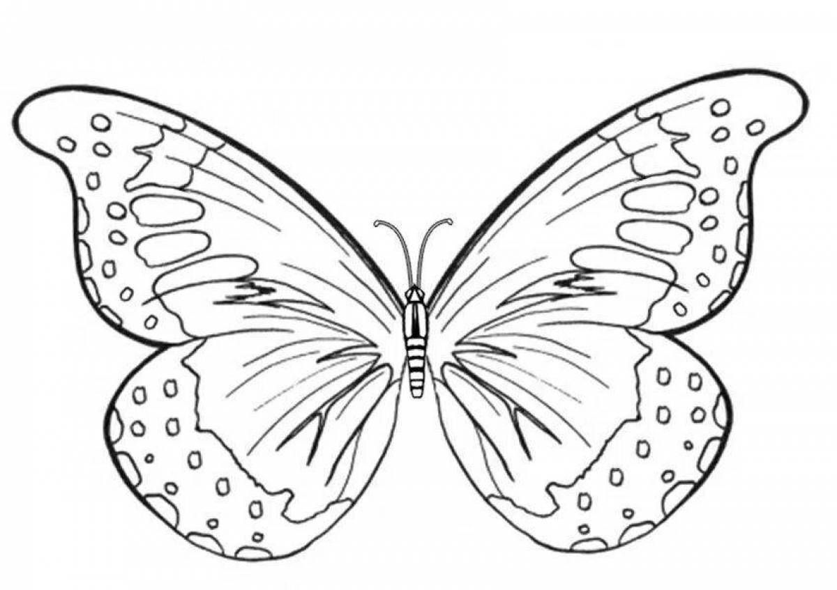 Раскраска 2 бабочки. Раскраска "бабочки". Раскраска для девочек бабочки. Картинка бабочка раскраска. Бабочка раскраска для малышей.