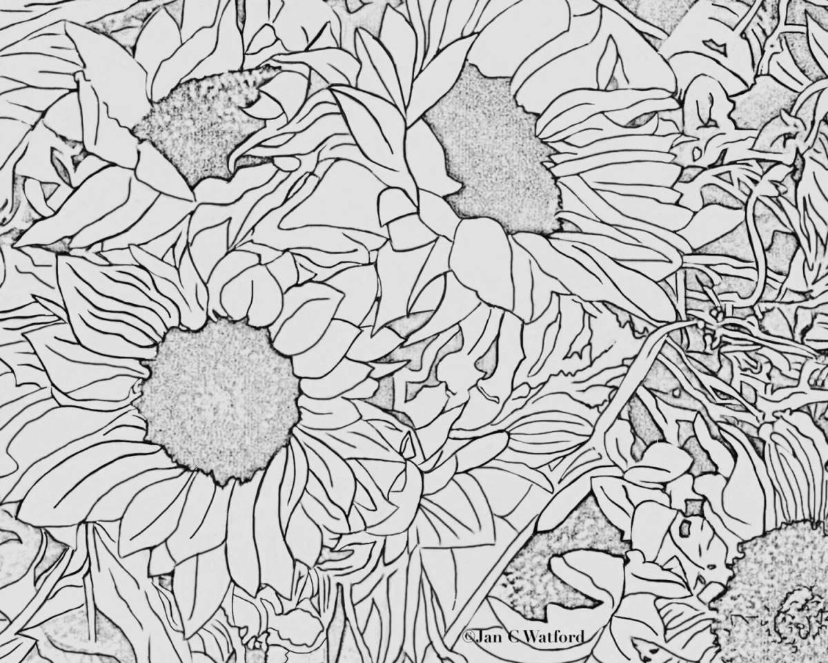 Exciting anti-stress coloring by numbers