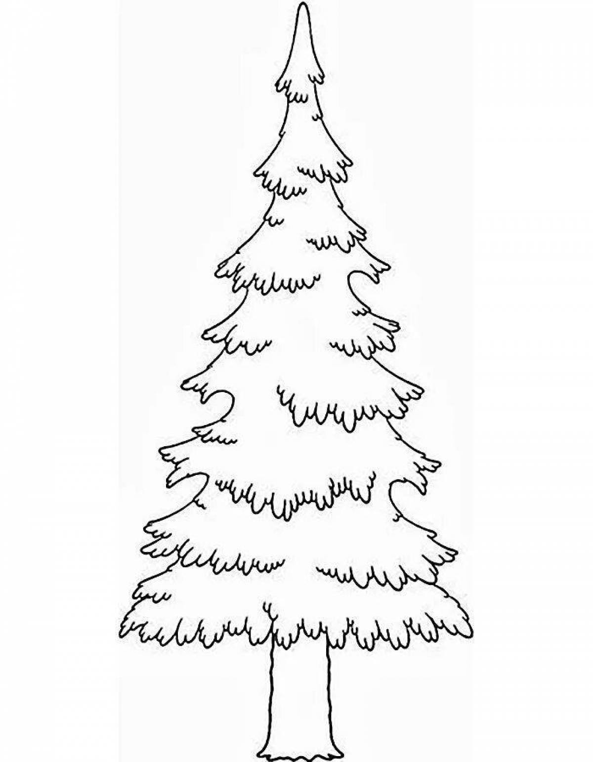 Shining Spruce Coloring Page for Students