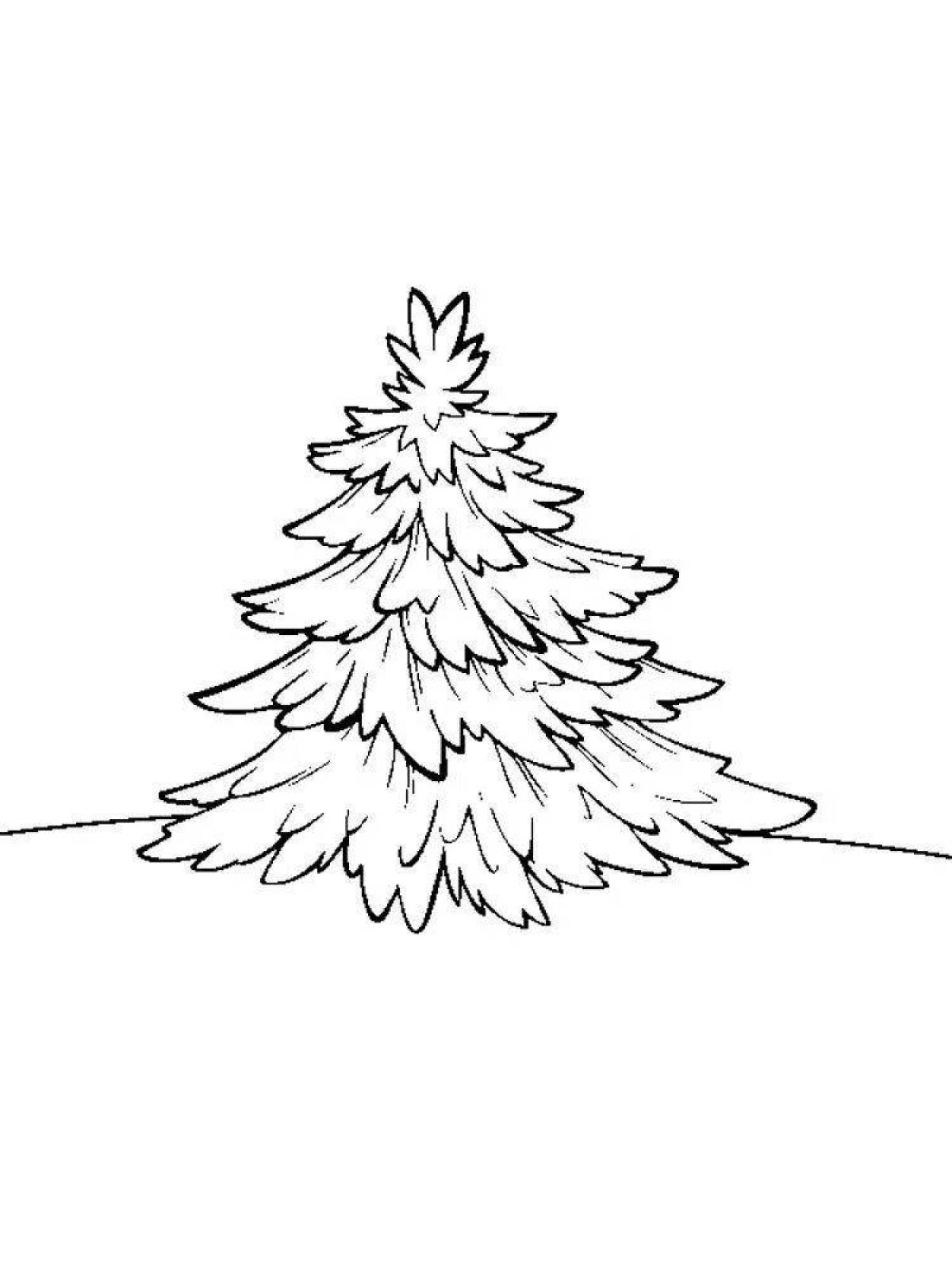 Living spruce coloring book for preschoolers