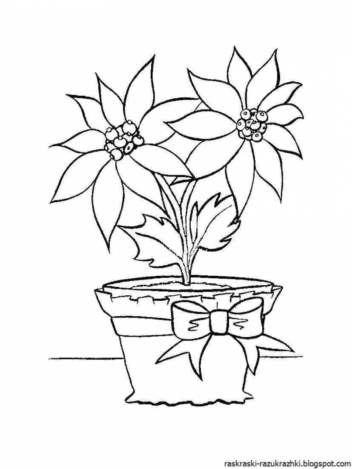 Coloring book with bright indoor plants for children 4-5 years old