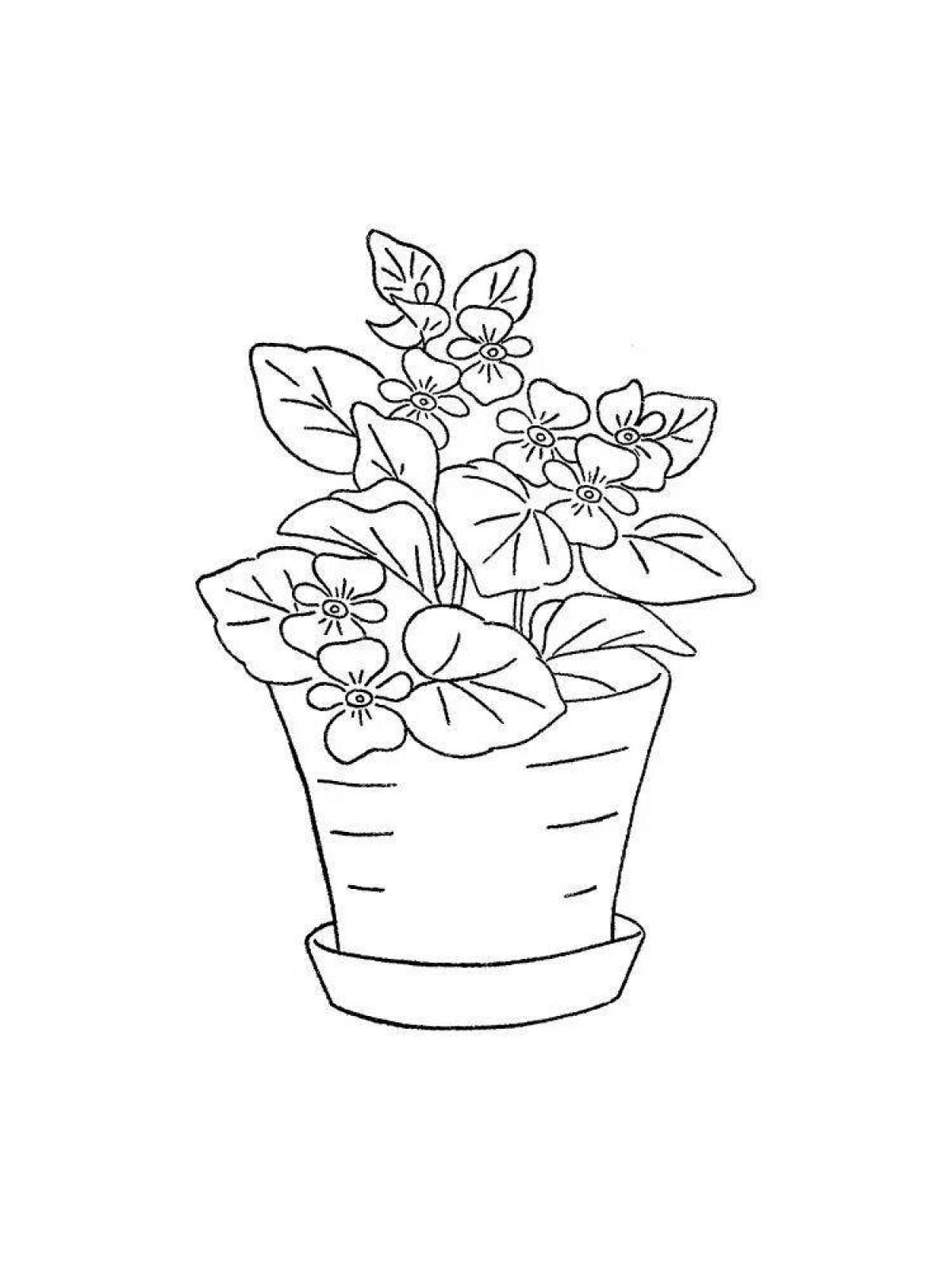 Coloring book for cute houseplants for 4-5 year olds