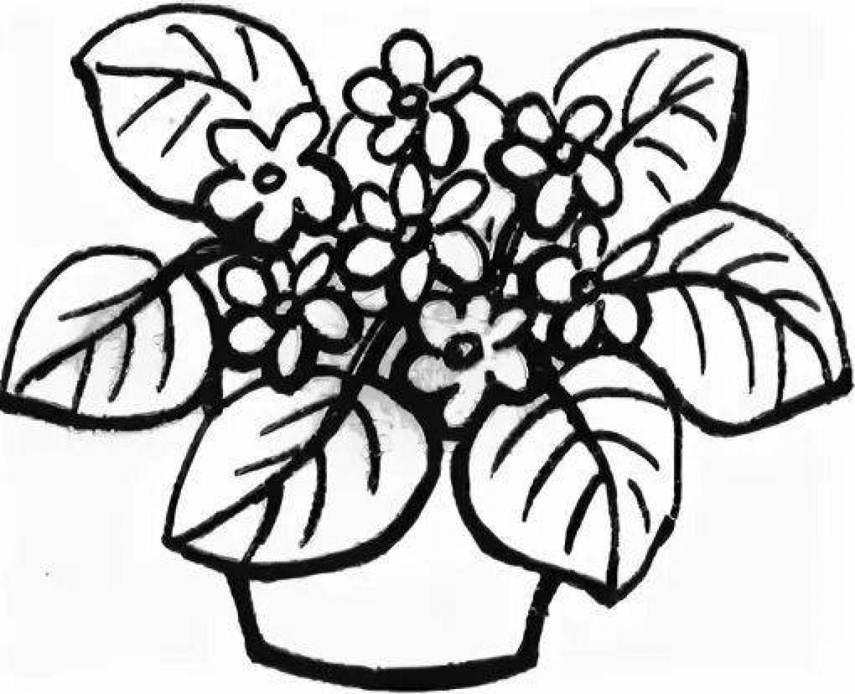 Amazing houseplants coloring page for 4-5 year olds