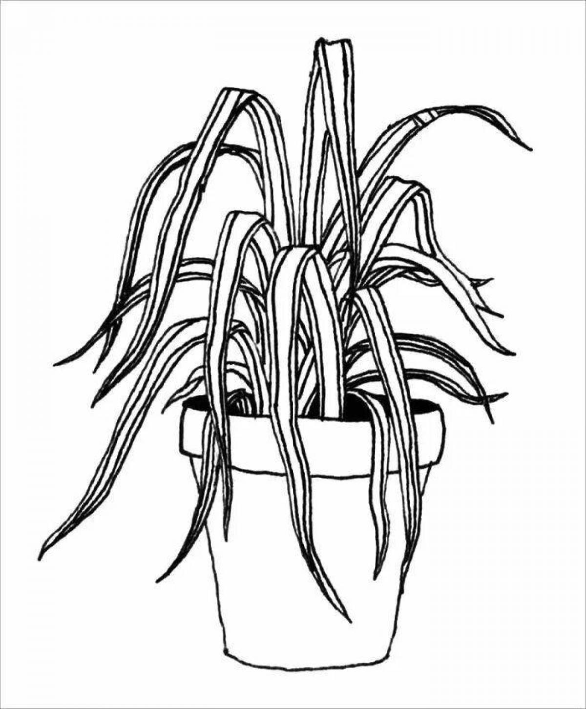 Cute houseplant coloring page for 4-5 year olds