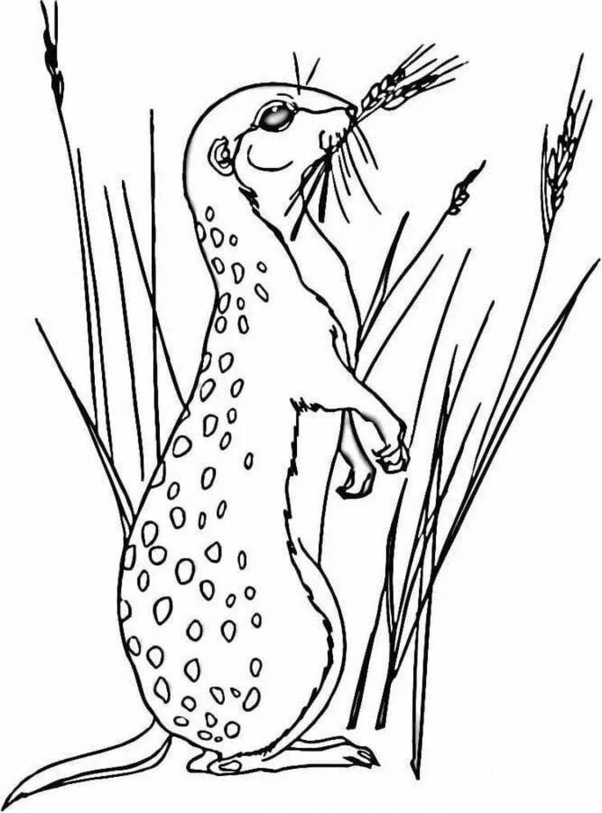Colorful gopher coloring page