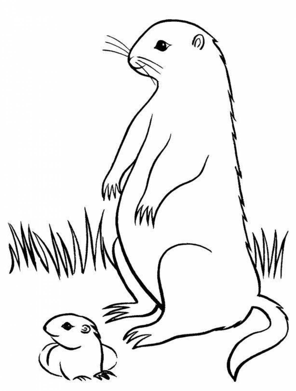 Cute gopher coloring page