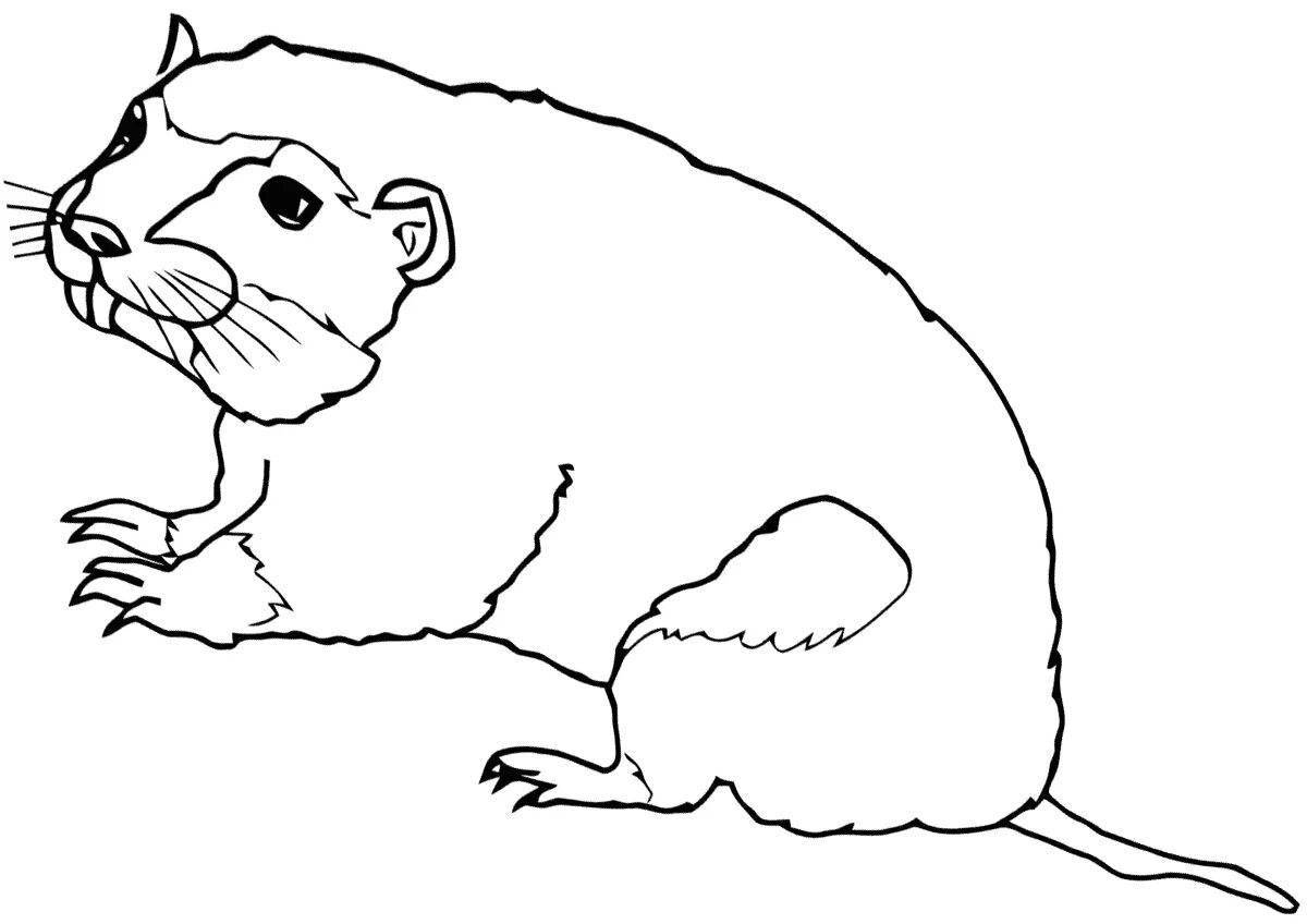 Coloring page adorable gopher