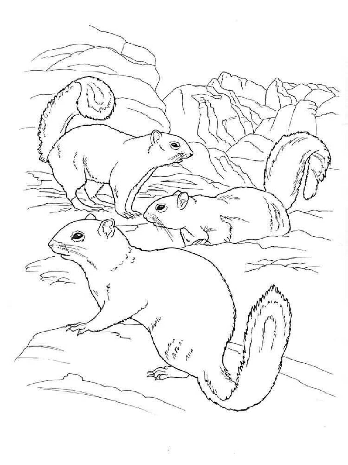 Animated gopher coloring page