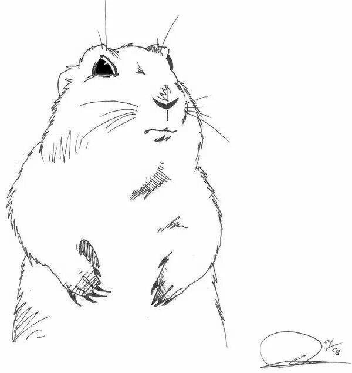 Adorable gopher coloring page