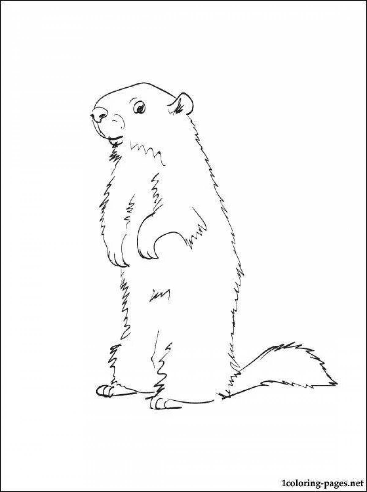 Outgoing Gopher coloring page