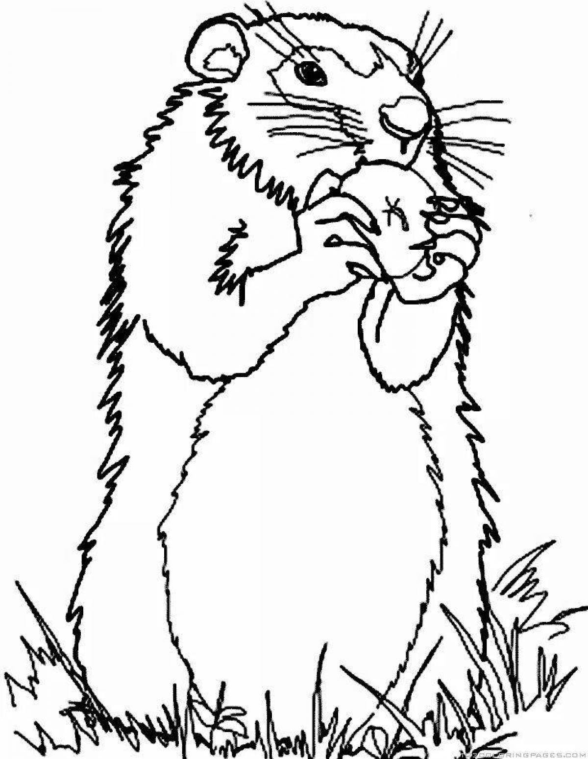 Coloring page energetic gopher