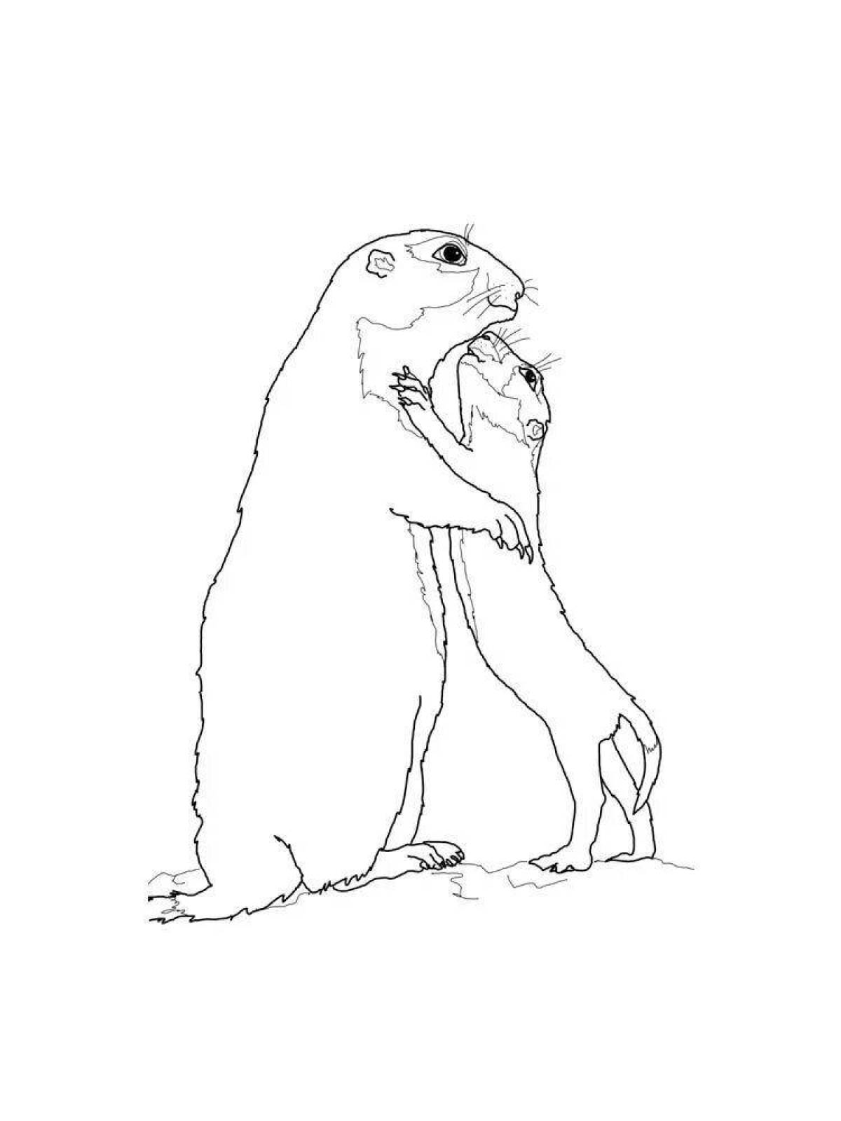 Expressive gopher coloring page