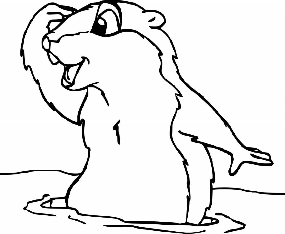 Coloring humorous gopher