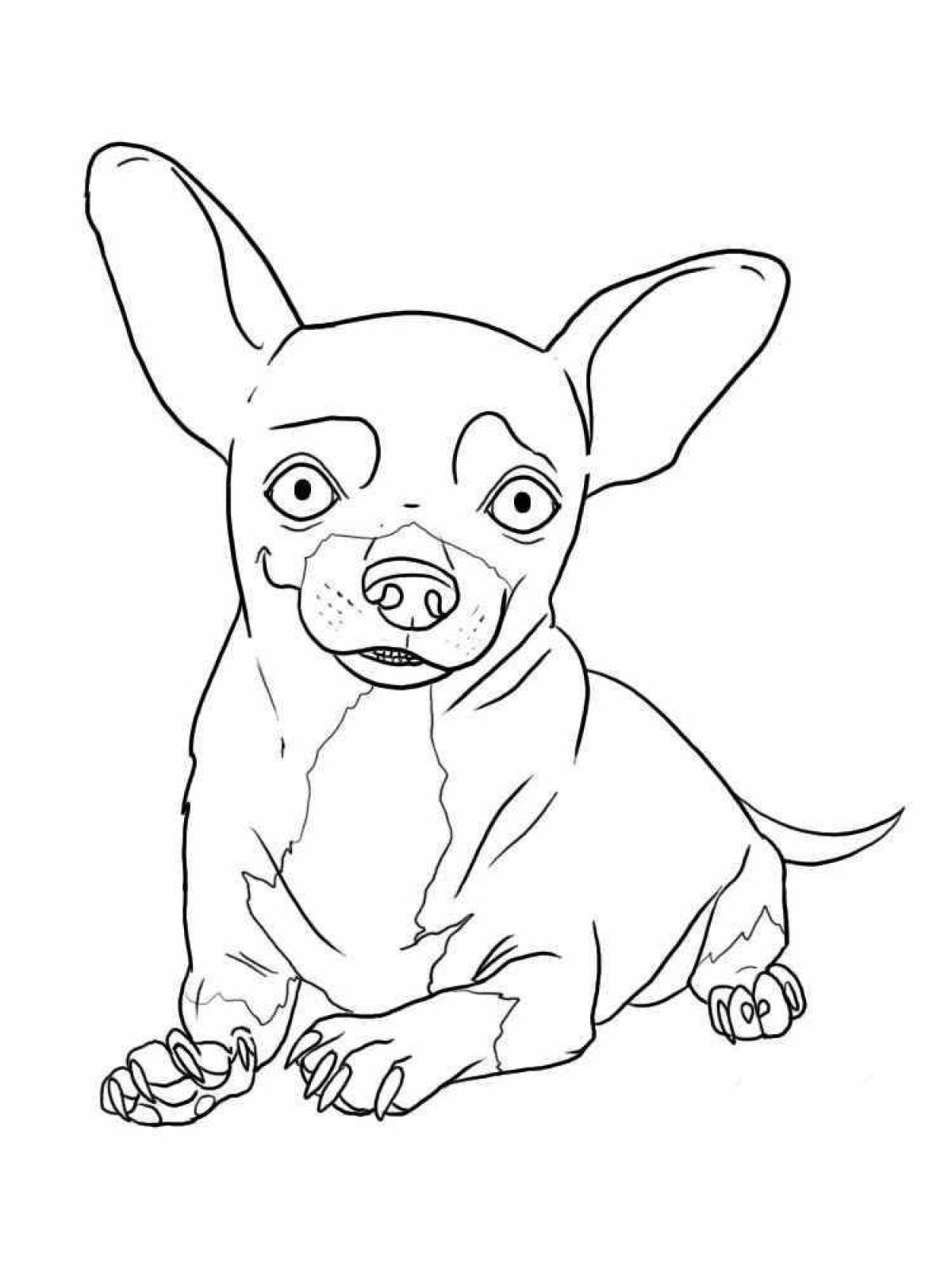 Weggish little dog coloring page
