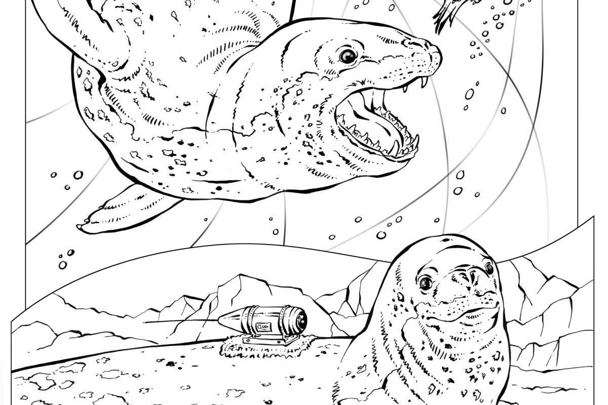 Majestic leopard seal coloring page