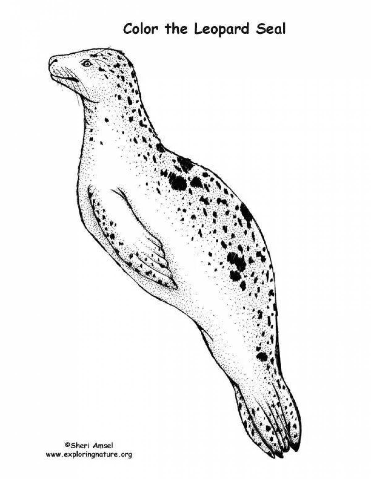 Игривая страница раскраски морского леопарда
