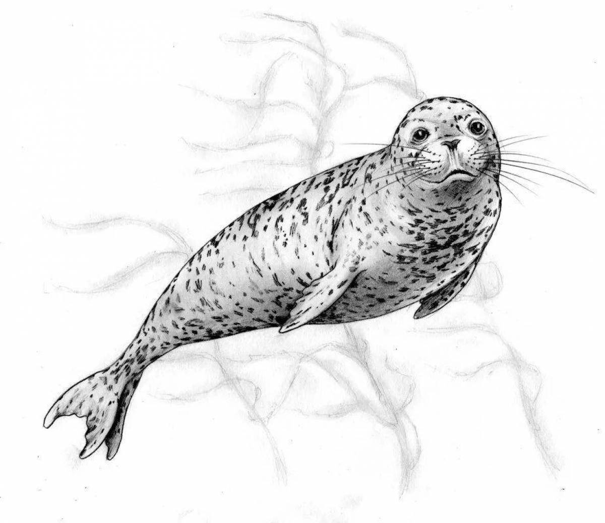 Colorful leopard seal coloring page