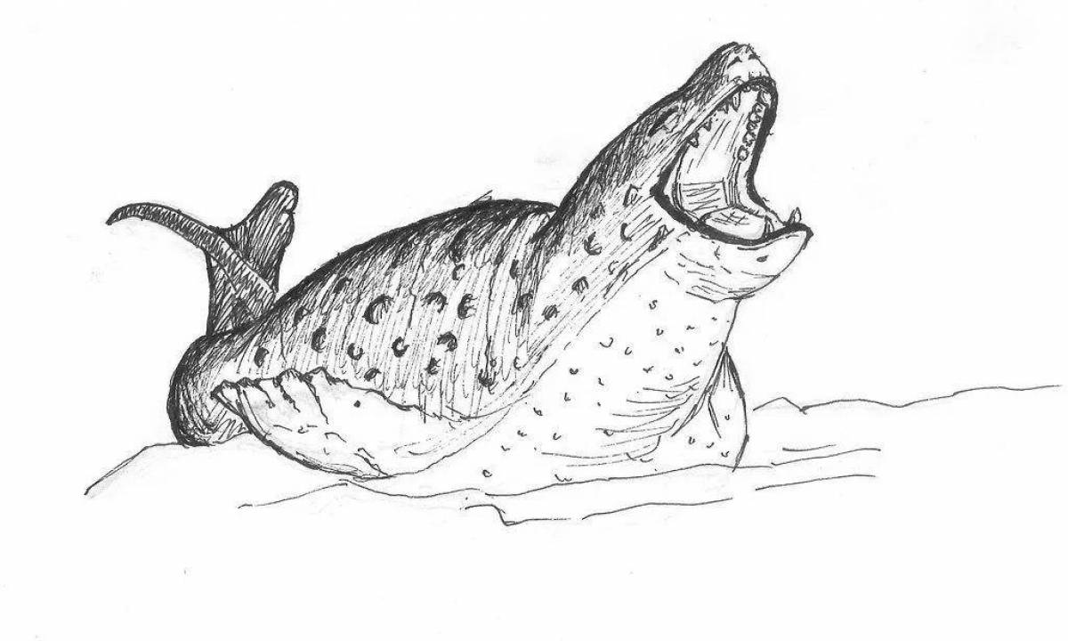 Очаровательная страница раскраски морского леопарда