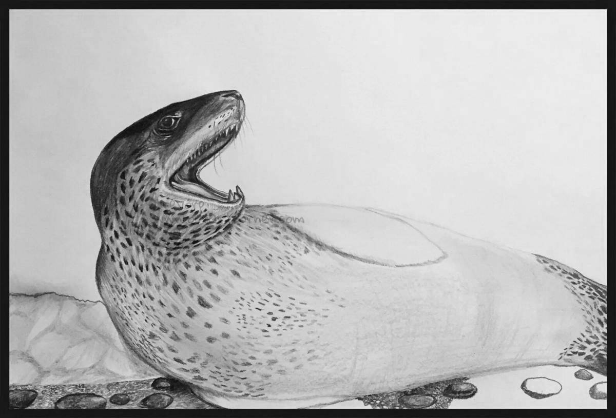 Shiny leopard seal coloring page