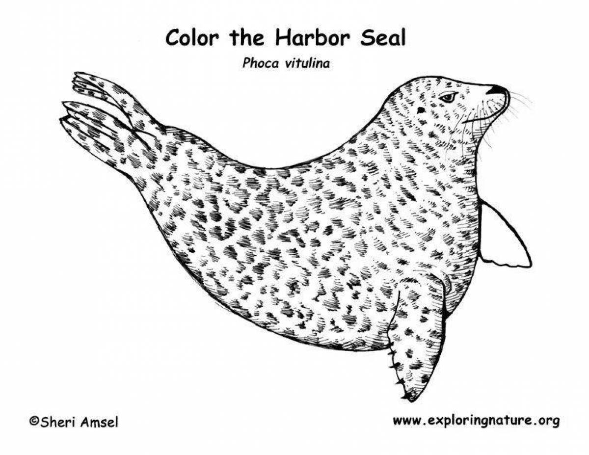 Glitter leopard seal coloring page