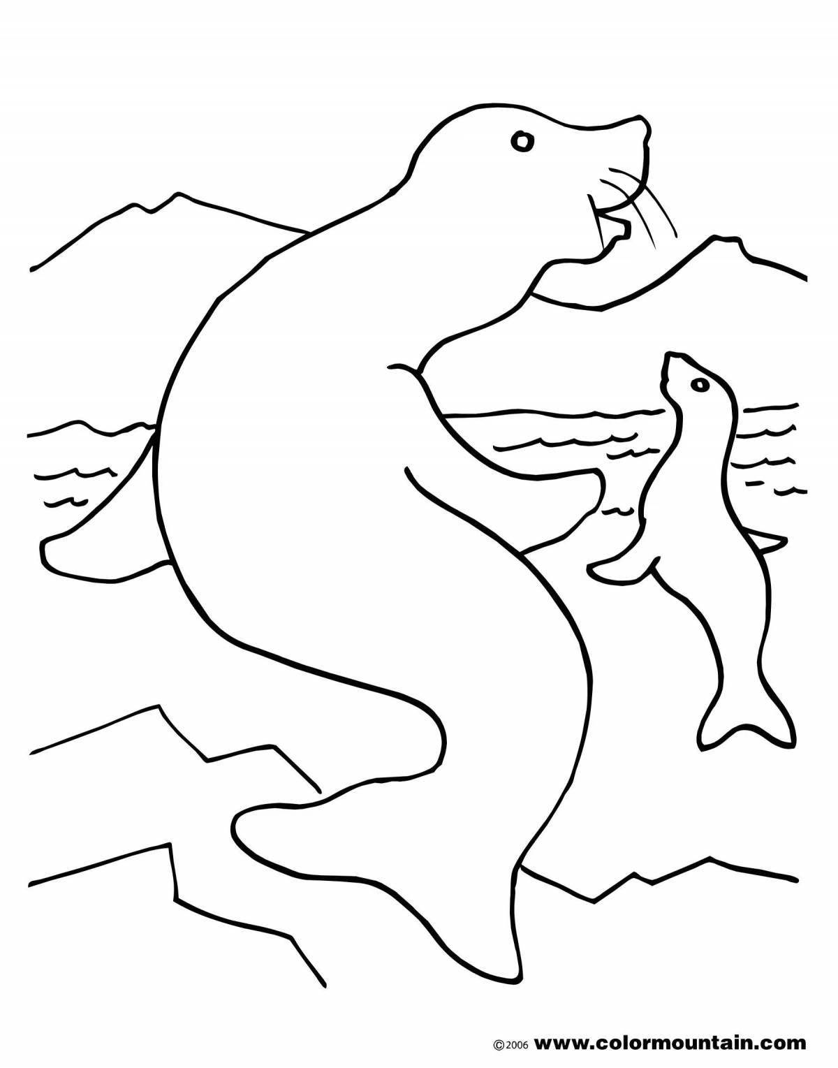 Coloring page funny sea leopard