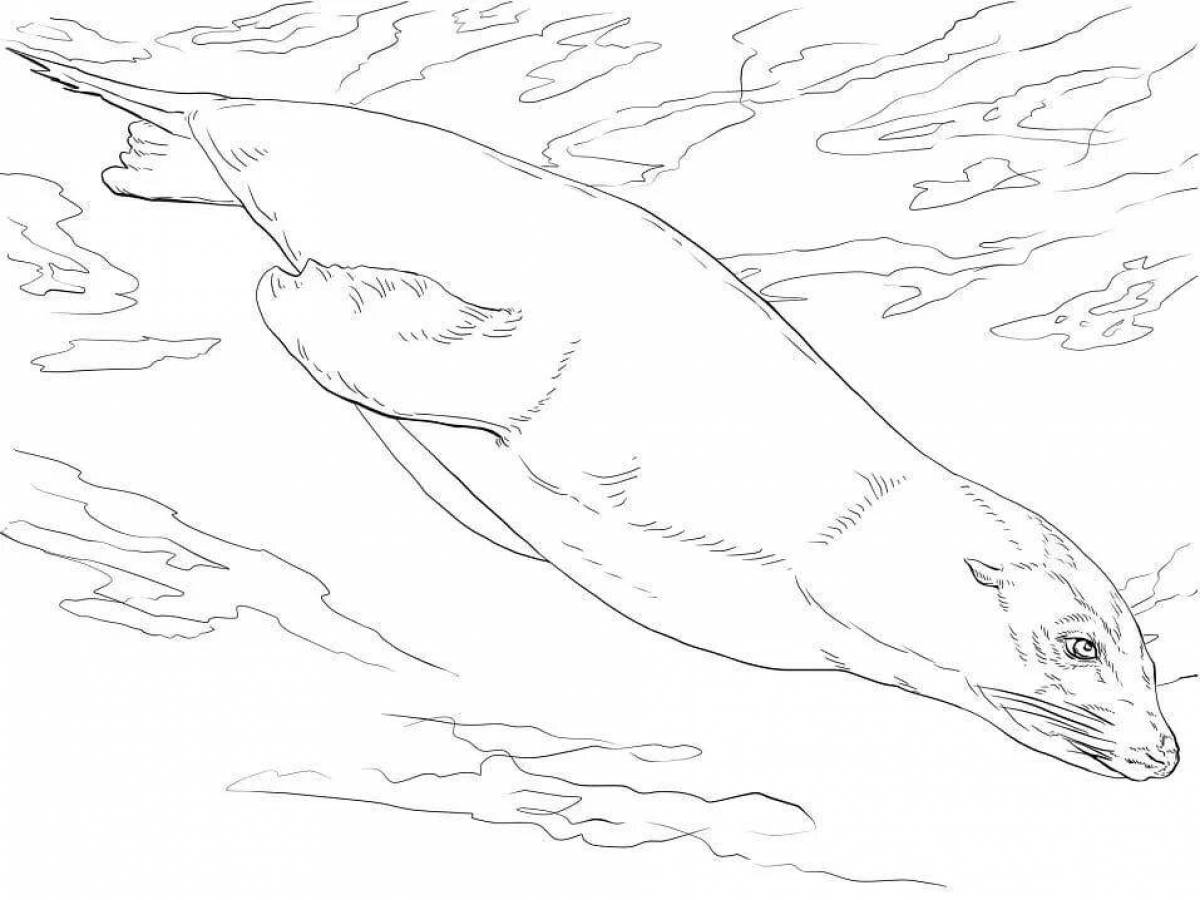 Amazing leopard seal coloring page