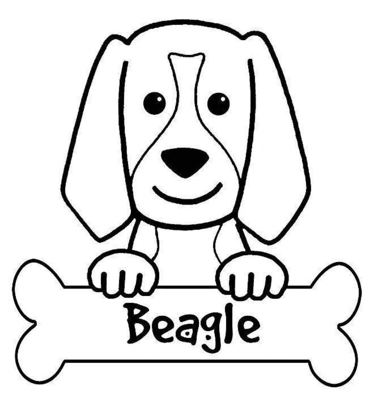 Раскраска собака Бигль щенок