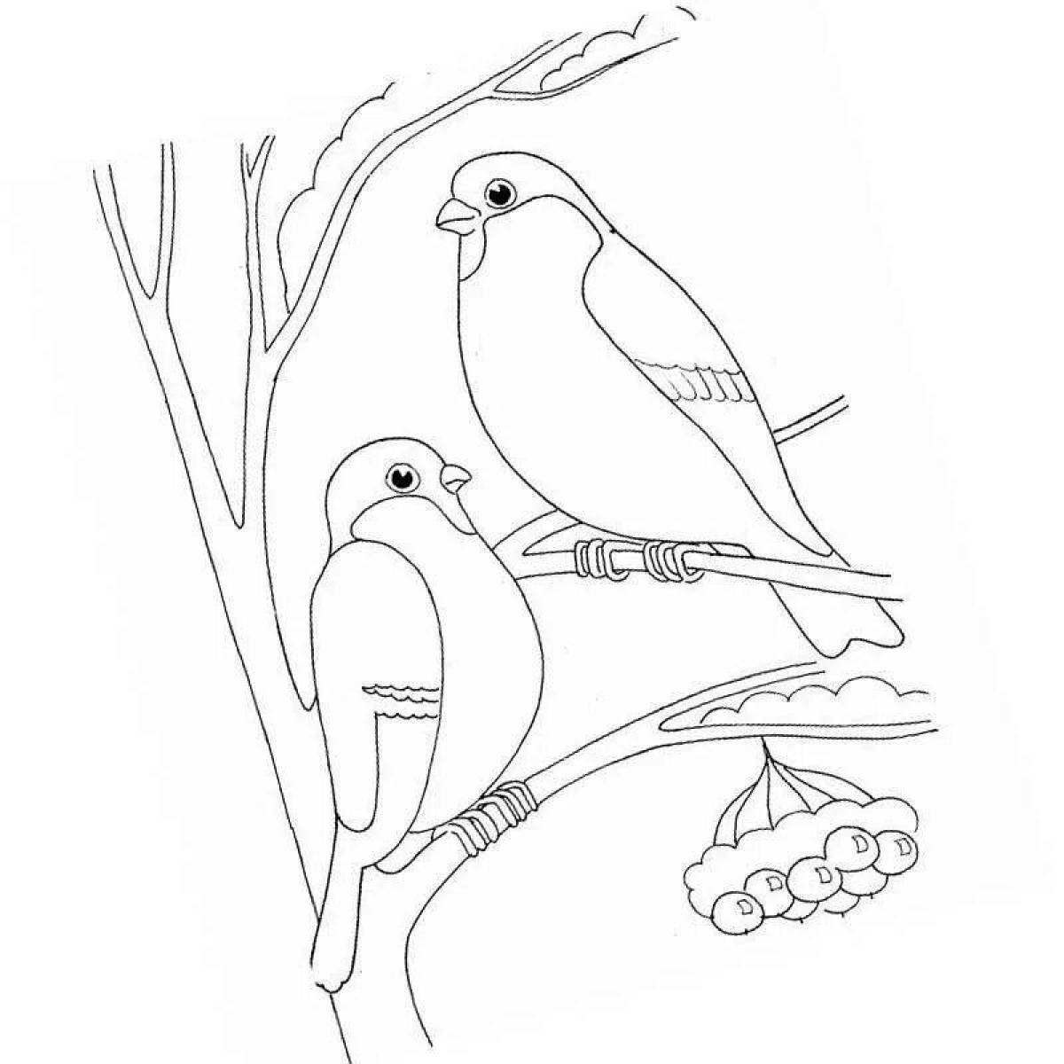 Playful winter birds coloring book for preschoolers