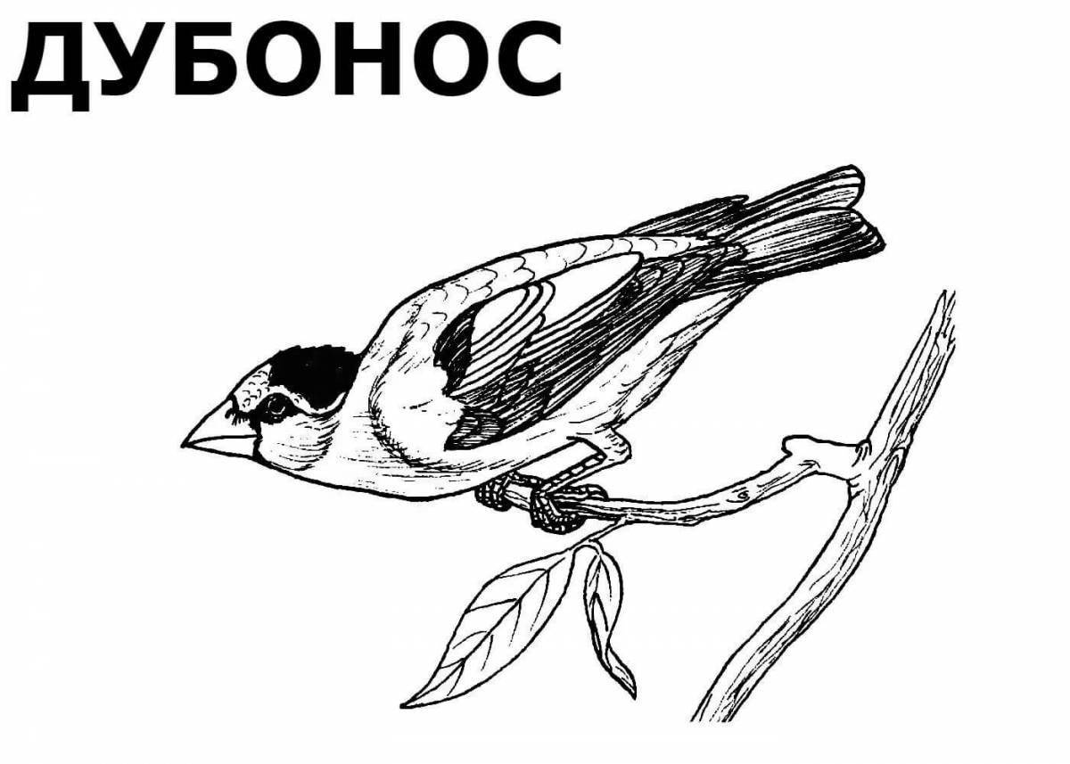 Coloring book for preschoolers with lovely wintering birds