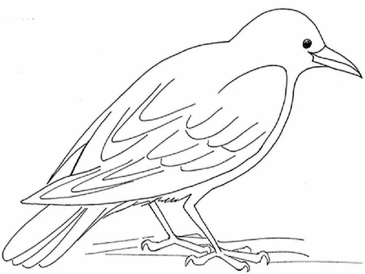 Animated coloring pages of wintering birds for preschoolers