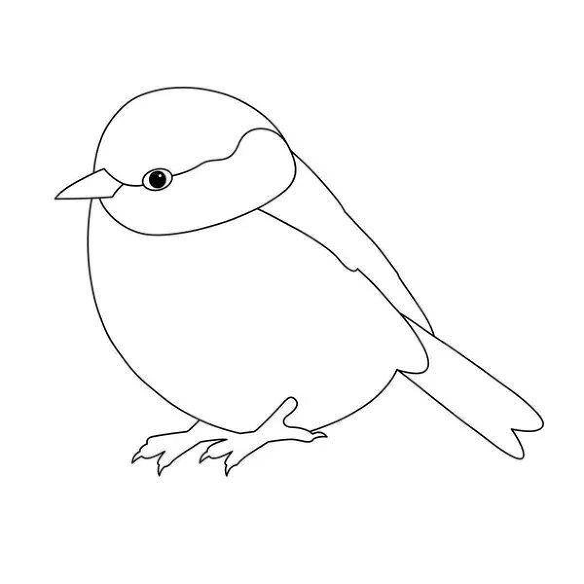 Funny titmouse coloring book for children 3-4 years old