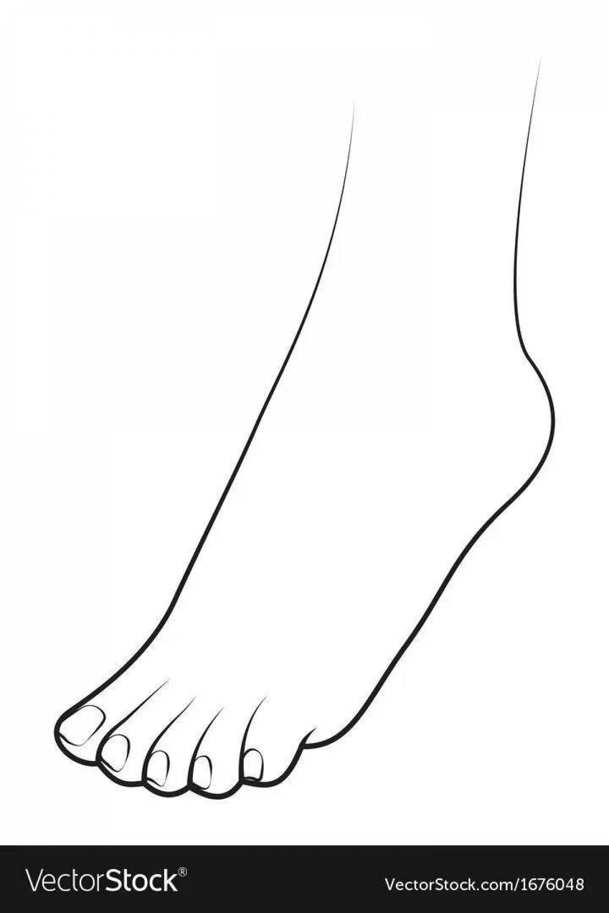 Colorful foot coloring pages