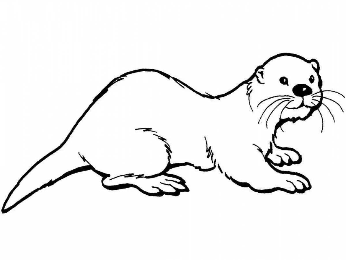 Fine mink coloring page