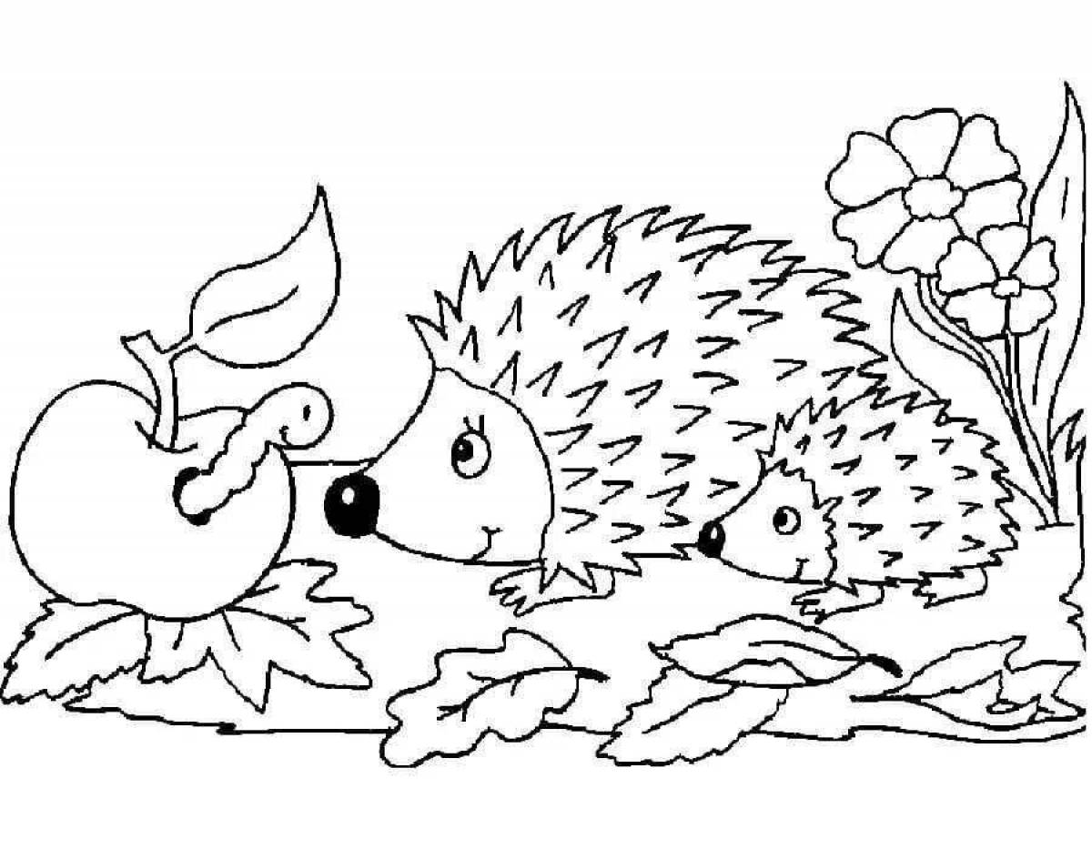 Adorable hedgehog coloring book